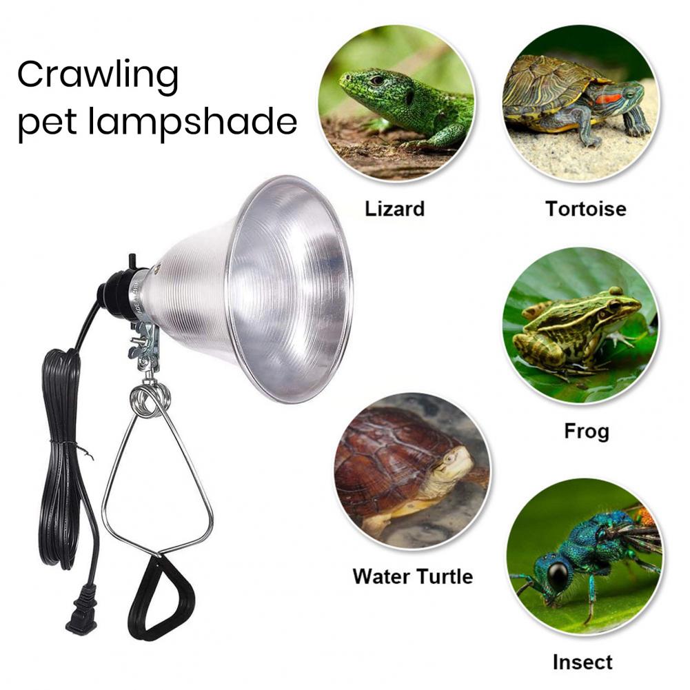 Abat-jour pour lampe de table, - Photography Lighting Workshops avis et prix