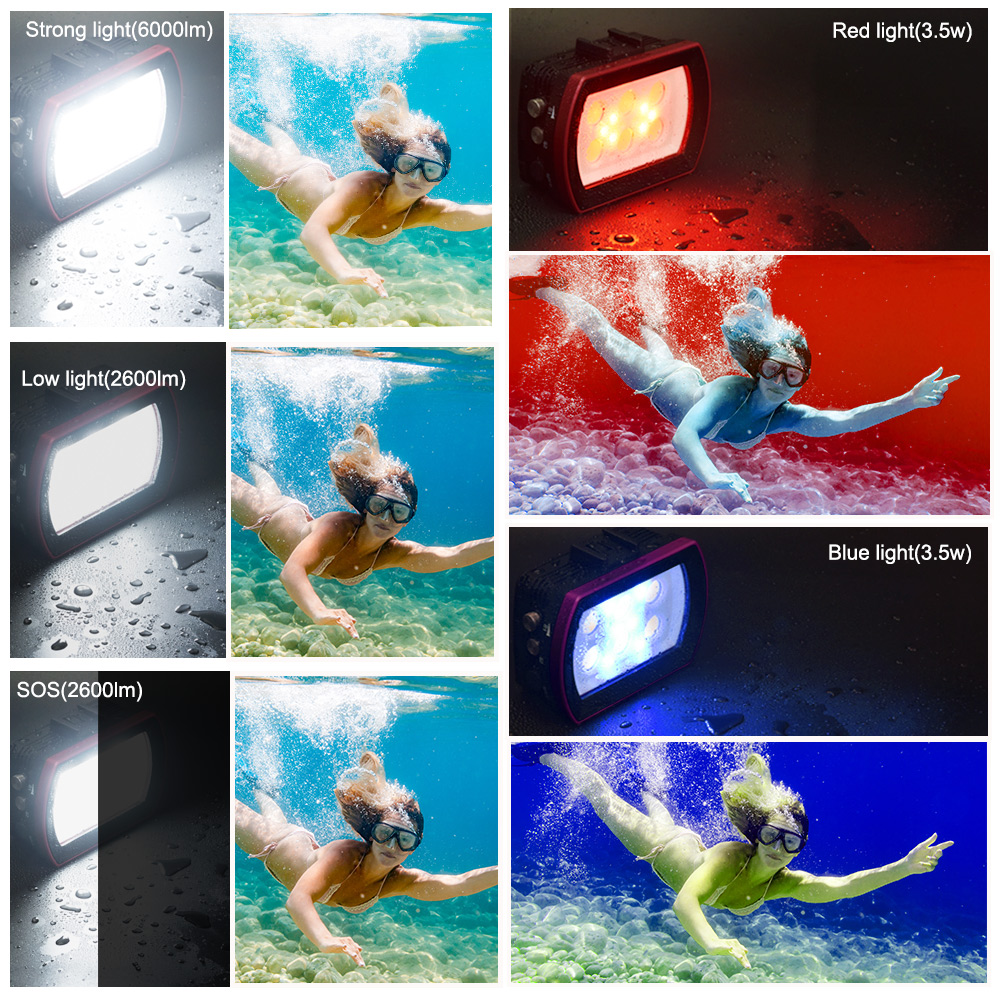 Seafrogs – lampe de plongée LE - Photography Lighting Brands avis et prix