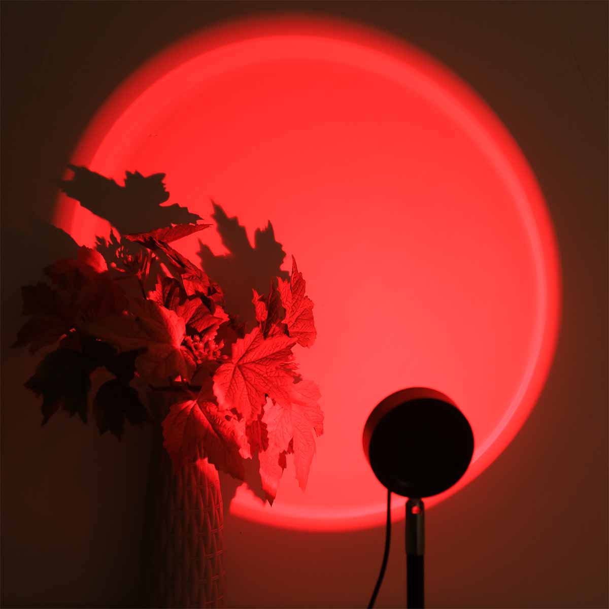 Lampe de projection coucher de - Photography Lighting Setup avis et prix