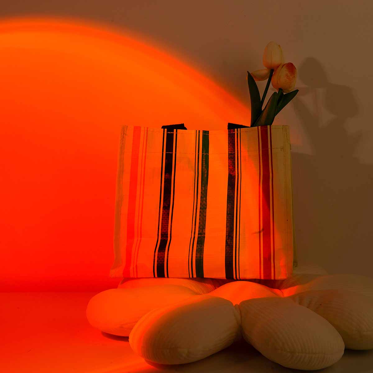 Lampe de projection coucher de - Photography Lighting Setup avis et prix